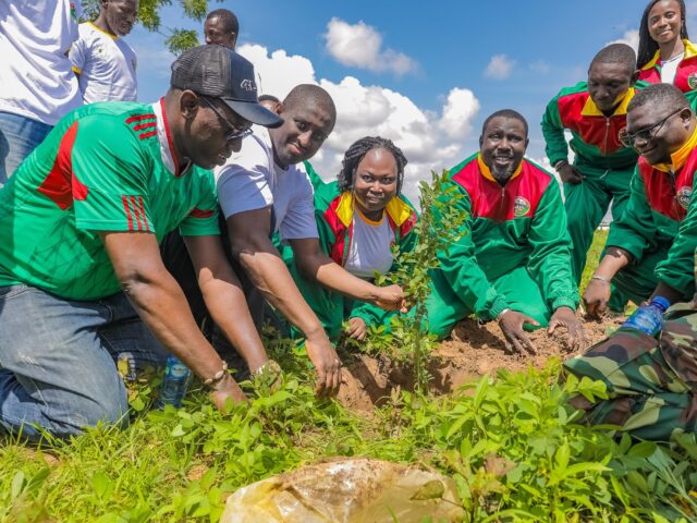 La Chambre des Mines participe au reboisement du bosquet du secteur minier