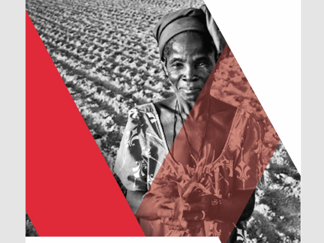 Rapport du Programme communautaire de ATS du mois d’octobre 2025