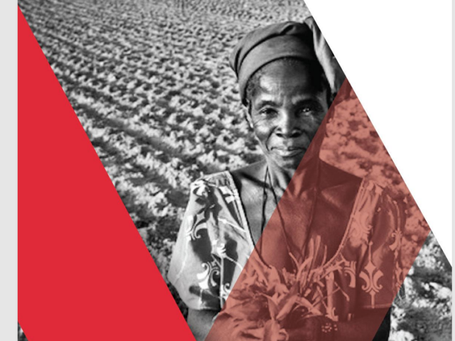 Rapport du programme communautaire de ATS pour 2025